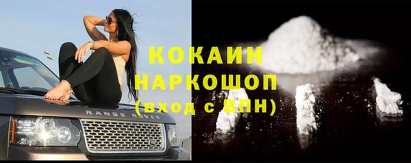твердый Богданович