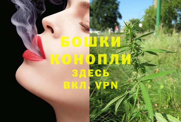 крисы Богородицк