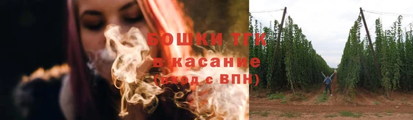 PSILOCYBIN Белокуриха