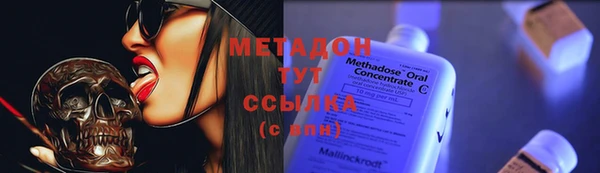 PSILOCYBIN Белокуриха