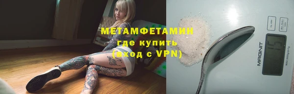 PSILOCYBIN Белокуриха