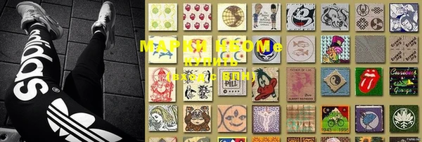PSILOCYBIN Белокуриха