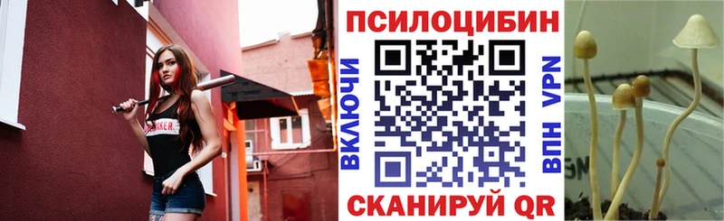 Псилоцибиновые грибы прущие грибы Надым
