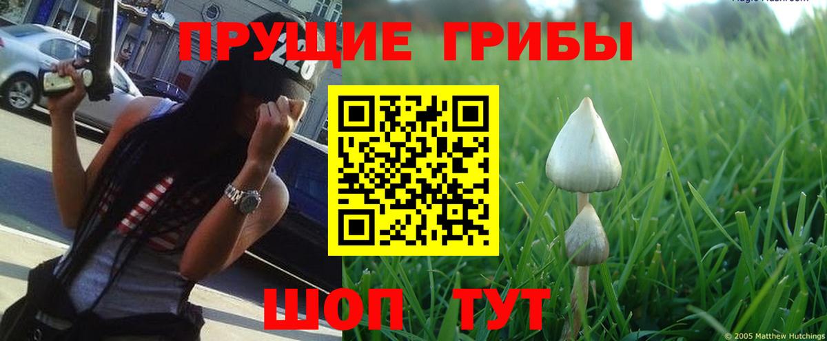 Псилоцибиновые грибы прущие грибы  Вход с VPN  купить закладку  Надым 