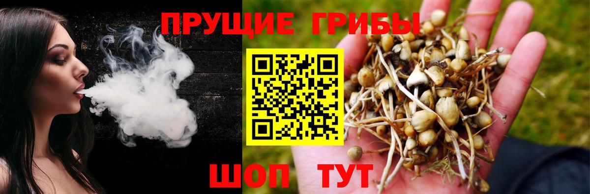 Псилоцибиновые грибы мухоморы Надым